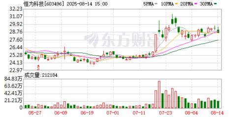 恒為科技布局新賽道，投資成立數(shù)字技術(shù)服務(wù)公司